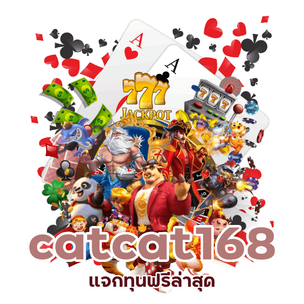 catcat168 แจกทุนฟรี ล่าสุด